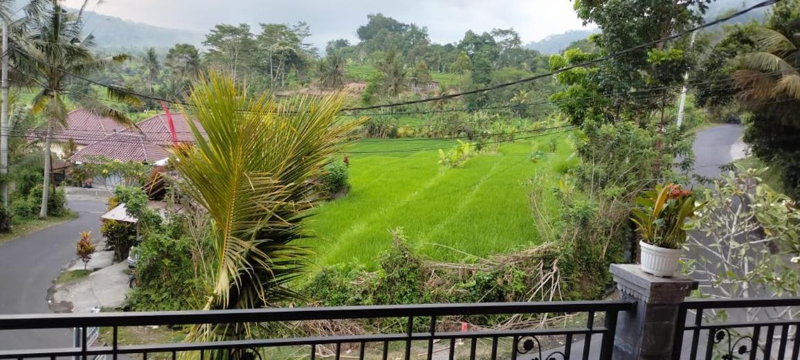 Giri Swari Homestay Sidemen  Dış mekan fotoğraf